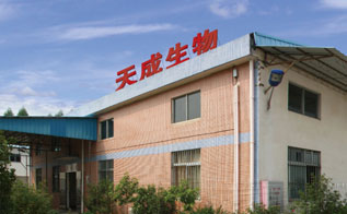 廠(chǎng)房展示